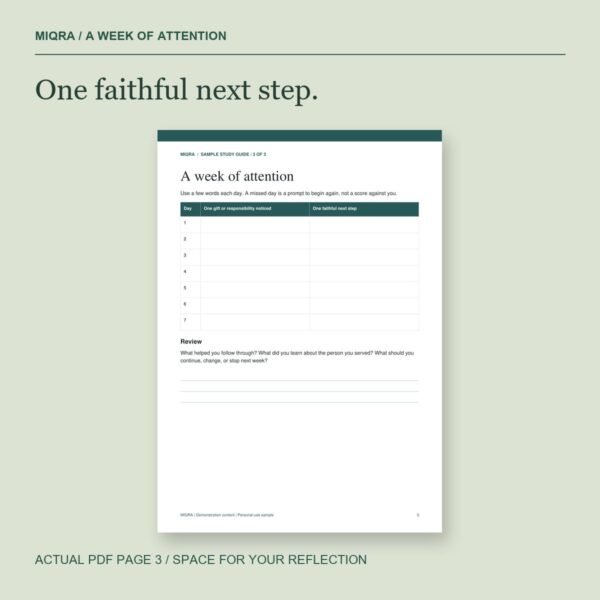 Actual seven-day reflection worksheet