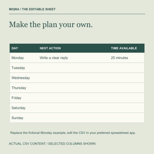 Actual editable CSV example and blank daily inputs